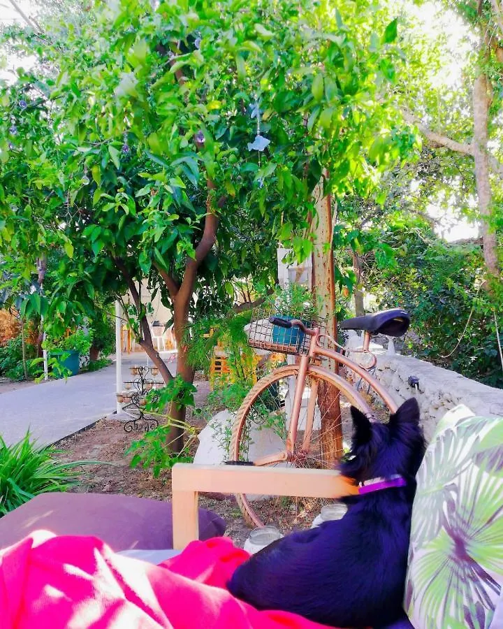 Hotel L'Onda Oda Bodrum
